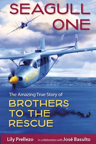 Seagull One: The Amazing True Story of Brothers to the Rescue - Click to Buy