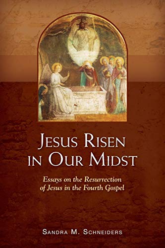 Jesus Risen in Our Mist: Essays On The Resurrection Of Jesus In The Fourth Gospel - Click to Buy