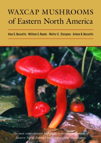 Waxcap Mushrooms of Eastern North America - Click to Buy