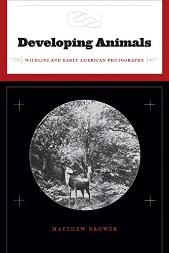 Developing Animals: Wildlife and Early American Photography - Click to Buy