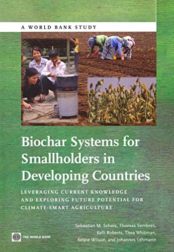 Biochar Systems for Smallholders in Developing Countries: Leveraging Current Knowledge and Exploring Future Potential for Climate-Smart Agriculture (World Bank Studies)