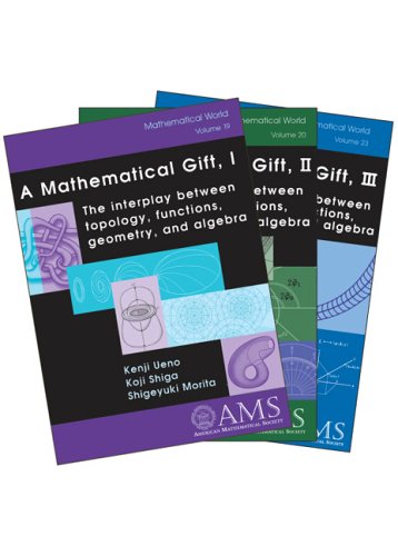 A Mathematical Gift: The Interplay Between Topology, Functions, Geometry, and Algebra - Click to Buy