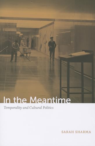 In the Meantime: Temporality and Cultural Politics - Click to Buy
