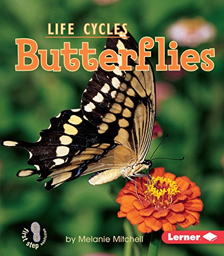 Butterflies - Click to Buy