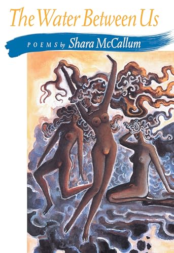 Water Between Us (Pitt Poetry Series)