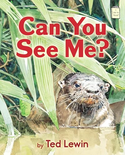 Can You See Me? - Click to Buy