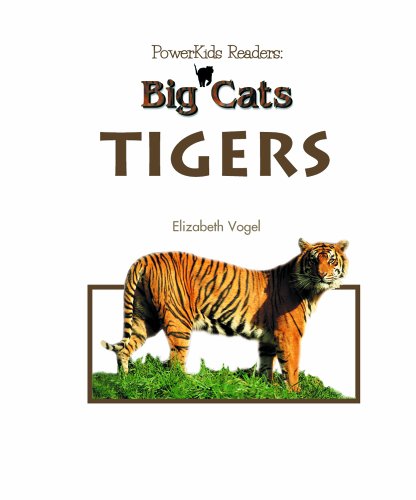 Tigers - Click to Buy