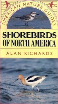 Shorebirds of North America - Click to Buy