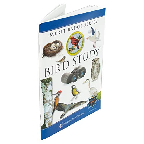 Bird Study - Click to Buy