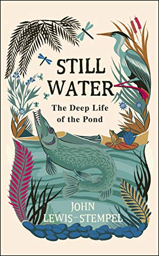 Still Water - Click to Buy