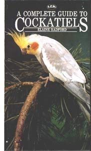 Cockatiels - Click to Buy