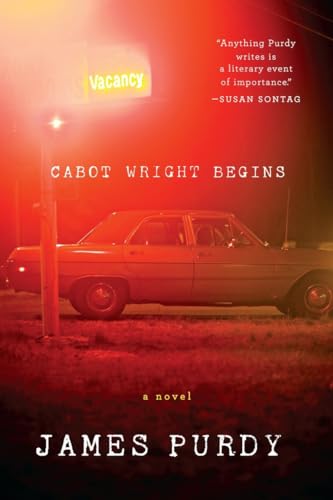 Cabot Wright Begins: A Novel