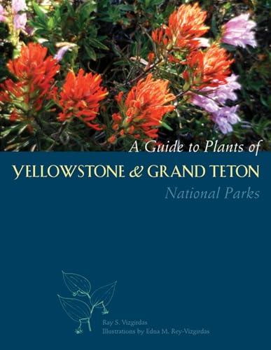 A Guide to Plants of Yellowstone and Grand Teton National Parks - Click to Buy
