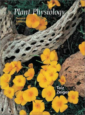 Plant Physiology