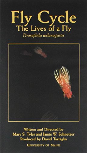 Fly Cycle: The Live Of A Fly, Drosophila - Click to Buy