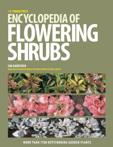 The Timber Press Encyclopedia of Flowering Shrubs: More Than 1700 Outstanding Garden Plants - Click to Buy