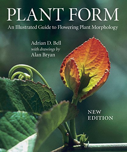 Plant Form: An Illustrated Guide to Flowering Plant Morphology - Click to Buy