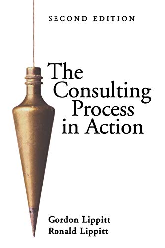 The Consulting Process in Action - Click to Buy