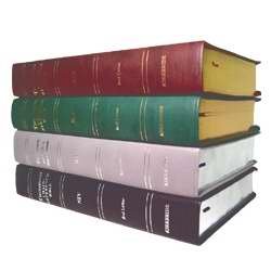 NIV Kirvella Gray - Click to Buy
