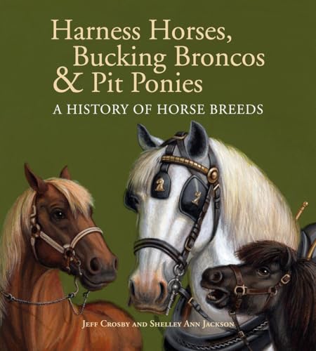 Harness Horses, Bucking Broncos & Pit Ponies: A History of Horse Breeds - Click to Buy