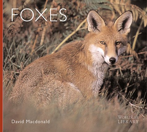 Foxes (World Life Library) - Click to Buy
