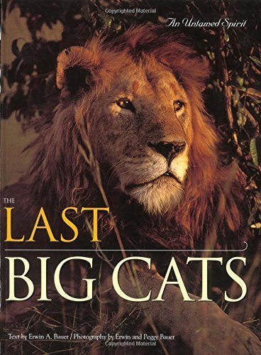 The Last Big Cats: An Untamed Spirit - Click to Buy