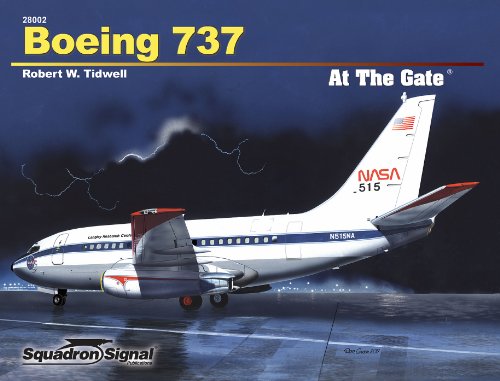 Boeing 737 (At The Gate No. 2) - Click to Buy