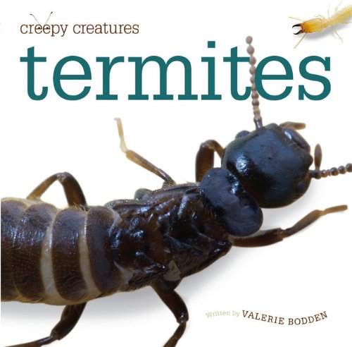 Creepy Creatures: Termites - Click to Buy