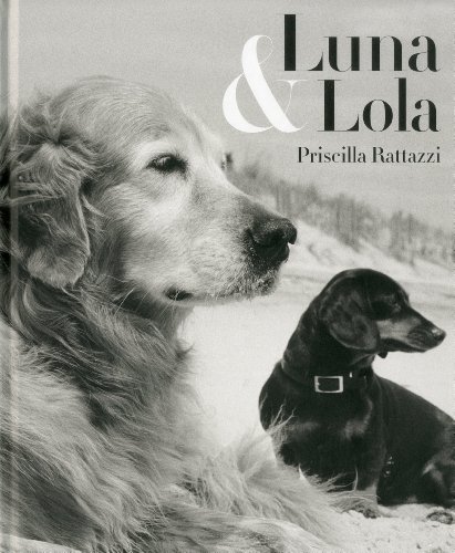 Luna & Lola - Click to Buy