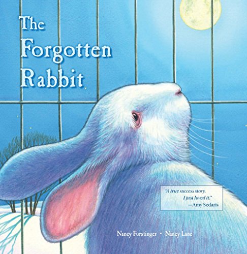 The Forgotten Rabbit - Click to Buy