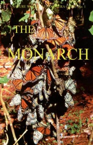 The Monarch: Danaus Plexippus (Linnaeus) (Nymphalidae: Danainae) (Nature World Lepidoptera Guide) - Click to Buy