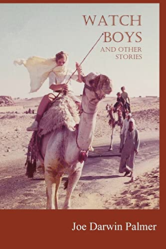 Watch Boys: And other stories about Americans in Somalia, Egypt, Thailand, Sénégal, Mexico, Québec. and among Ku Kluxers & New Agers - Click to Buy