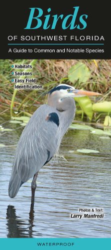 Birds of Southwest Florida: A Guide to Common & Notable Species (Quick Reference Guides) - Click to Buy