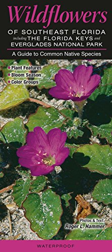 Wildflowers of Southeast Florida including the Florida Keys & Everglades National Park: A Guide to Common Native Species (Quick Reference Guides)