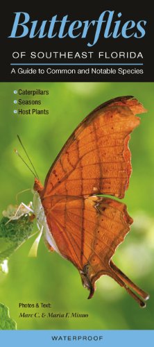 Butterflies of Southeast Florida: A Guide to Common and Notable Species (Quick Reference Guides) - Click to Buy