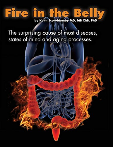 Fire In The Belly: The Surprising Cause of Most Diseases, States Of Mind and Aging Processes - Click to Buy