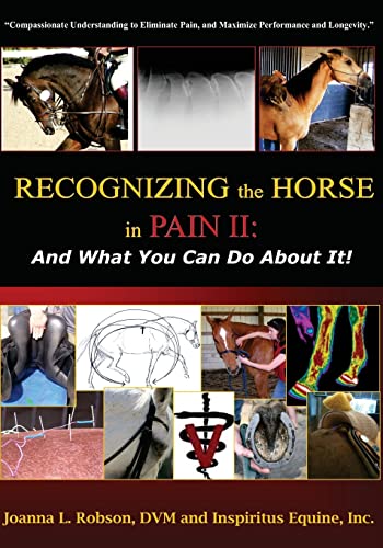 Recognizing the Horse in Pain II: And What You Can Do About It! - Click to Buy