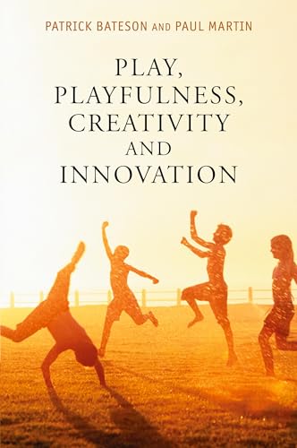 Play, Playfulness, Creativity and Innovation - Click to Buy