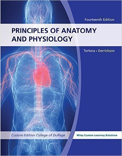 Principles of Anatomy and Physiology 14e with Brief Atlas of The Skeleton and Surface Anatomy. ACCESS CODE NOT INCLUDED. USED BUT IN VERY GOOD CONDITION. INSTANT Local pick up or delivery - Click to Buy