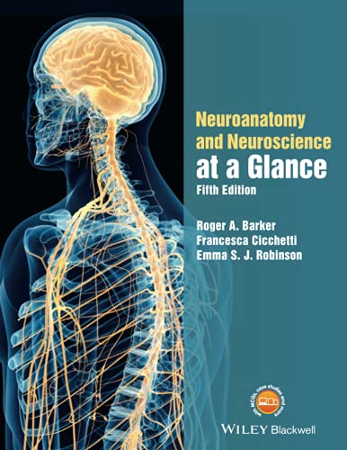 Neuroanatomy and Neuroscience at a Glance - Click to Buy