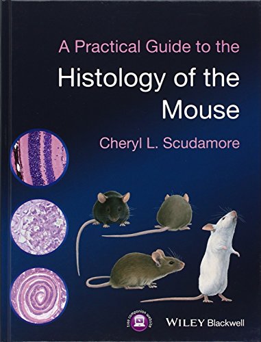 A Practical Guide to the Histology of the Mouse - Click to Buy