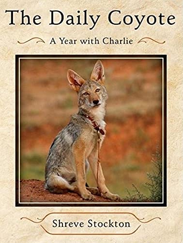 The Daily Coyote: A Story of Love, Survival, and Trust in the Wilds of Wyoming - Click to Buy
