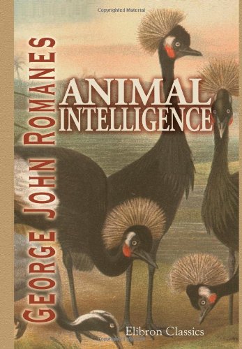 Animal Intelligence - Click to Buy