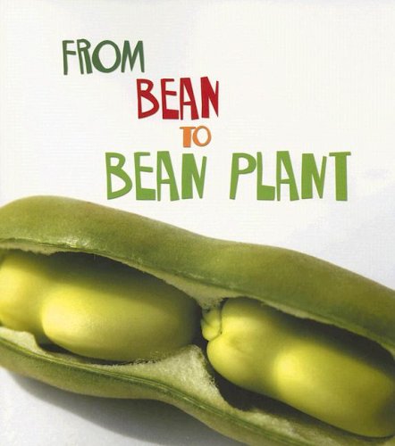 From Bean to Bean Plant - Click to Buy