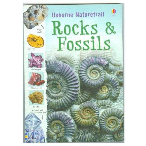 Rocks & Fossils - Click to Buy