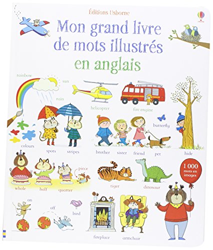 Mon grand livre de mots illustrés en anglais - Click to Buy