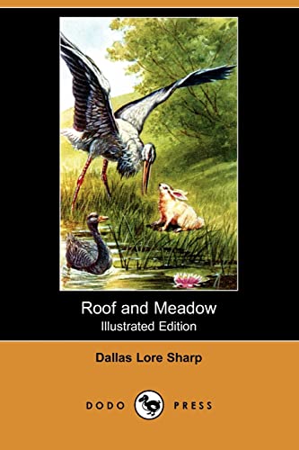 Roof and Meadow - Click to Buy