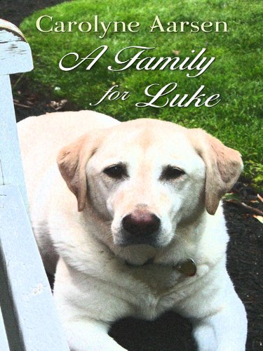 A Family for Luke - Click to Buy