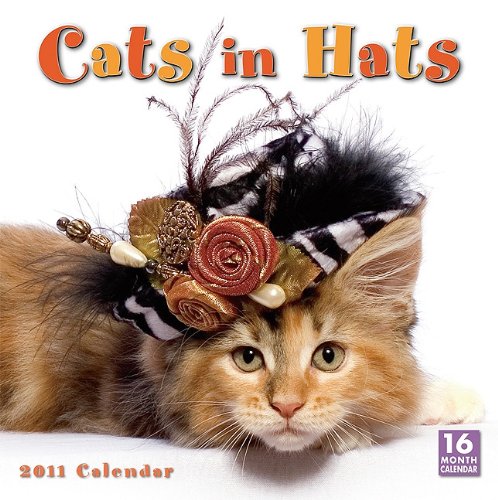 Cats in Hats 2011 Calendar - Click to Buy