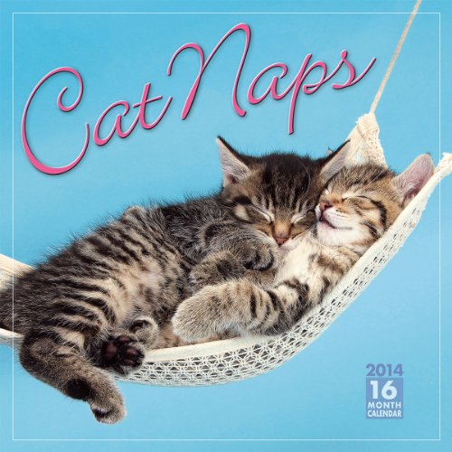 Cat Naps 2014 Wall (calendar) - Click to Buy